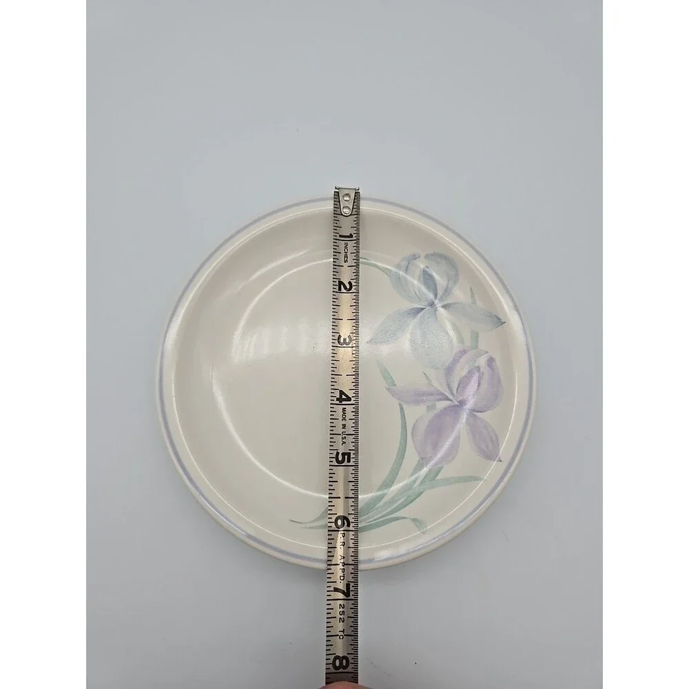 Set of 2 Pfaltzgraff Spring Song Iris 6.5” Bread Cake Plates USA NICE
